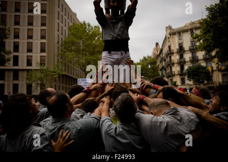 Barcellona, Spagna. Undicesimo Sep, 2015. A Barcellona castellers preparare per fare una torre umana durante La Diada (Catalogna Giornata nazionale) il 11 settembre, 2015. Catalonia della Giornata Nazionale del 2015 segna l'inizio della campagna per la Catalán elezioni regionali prevista per il 27 settembre. Ultimi Sondaggi di dare assoluta maggioranza per l'indipendenza parti (Junts Pel Si e tazza). Credito: Jordi Boixareu/Alamy Live News Foto Stock