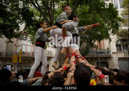 Barcellona, Spagna. Undicesimo Sep, 2015. A Barcellona castellers preparare per fare una torre umana durante La Diada (Catalogna Giornata nazionale) il 11 settembre, 2015. Catalonia della Giornata Nazionale del 2015 segna l'inizio della campagna per la Catalán elezioni regionali prevista per il 27 settembre. Ultimi Sondaggi di dare assoluta maggioranza per l'indipendenza parti (Junts Pel Si e tazza). Credito: Jordi Boixareu/Alamy Live News Foto Stock