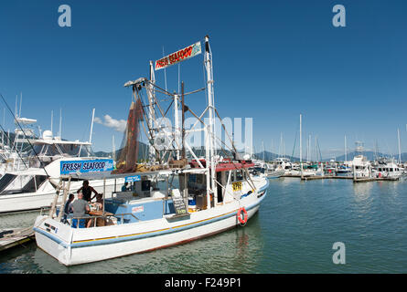 Le navi ormeggiate nel porto turistico, Cairns, Queensland, Australia Foto Stock