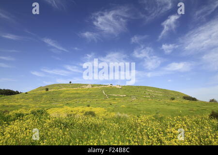 Israele, Shephelah, una vista del lato orientale del Tel Lachis il sito della biblica Lachis Foto Stock