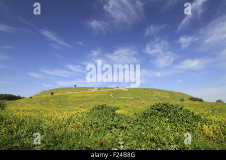 Israele, Shephelah, una vista del lato orientale del Tel Lachis il sito della biblica Lachis Foto Stock