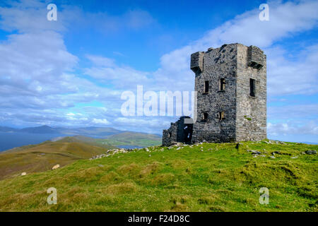 Casa torre del punto di segnale testa sheeps nella contea di Cork Foto Stock