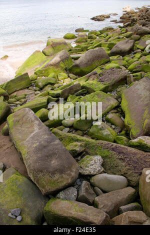 Foto di Moss su roccia in spagnolo spiaggia Foto Stock