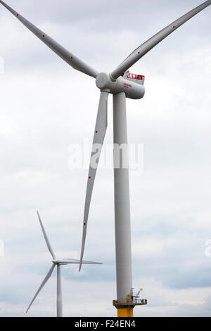 I primi 6 Mega Watt turbina eolica ad essere installate in tutto il mondo, a Gunfleet Sands offshore wind farm è di proprietà e gestito da Dong energy. Esso consiste di 48 turbine off Brightlingsea in Essex, Regno Unito, e ha una capacità di 172 MW, abbastanza per potere 125.000 case Foto Stock