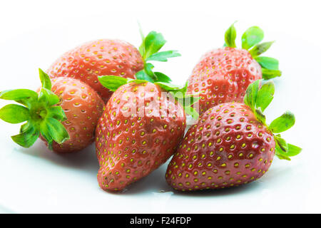 Rosso fragole appena raccolto su sfondo bianco Foto Stock