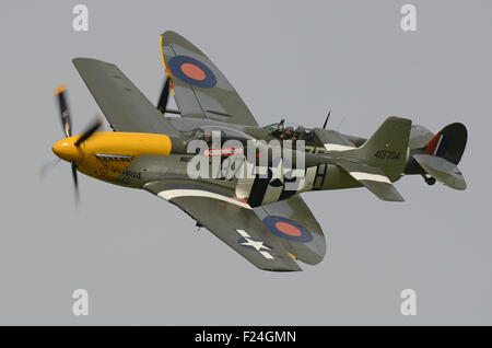 La vecchia macchina volante Azienda Spitfire e P Mustang visualizzazione al 2015 Goodwood. Seconda Guerra Mondiale aerei da combattimento Foto Stock