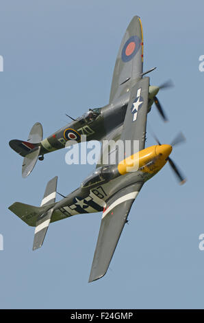 La vecchia macchina volante Azienda Spitfire e P Mustang visualizzazione al 2015 Goodwood. Seconda Guerra Mondiale aerei da combattimento Foto Stock