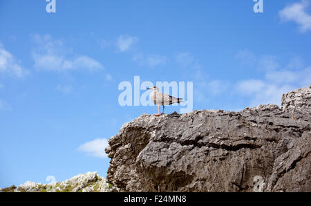 Spiaggia di Cuevas del Mar, Nueva de Llanes - Asturie in Spagna Foto Stock