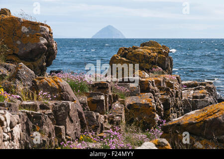 Guardando dal Kildonan litorale verso Ailsa Craig nel Firth of Clyde, Scozia Foto Stock