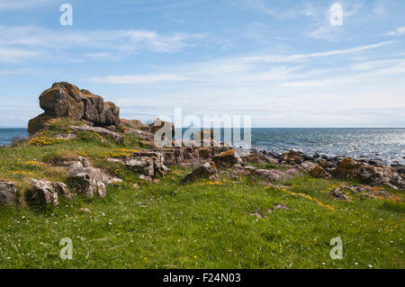 Guardando dal Kildonan litorale verso un lontano Ailsa Craig nel Firth of Clyde, Scozia Foto Stock