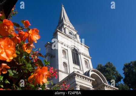 La Chiesa di Cristo Spitalfields tower con fiori in primo piano East End di Londra Inghilterra REGNO UNITO Foto Stock