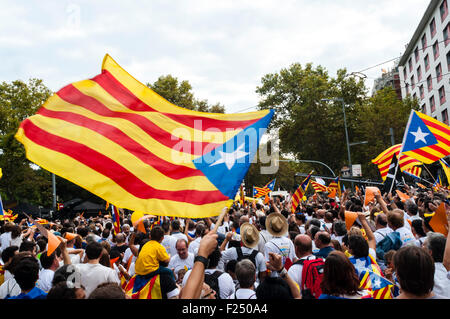 Barcellona , la Catalogna, Spagna . Undicesimo Sep, 2015. Via Lliure la repubblica catalana , indipendenza mobilitazione organizzata dall'Assemblea Nacional Catalana mi Òmnium culturale Giorno Nazionale della Catalogna . L'indipendenza manifestazione convocata centinaia di migliaia di persone a Barcellona Avenida Meridiana Credito: Cisco Pelay / Alamy Live News Foto Stock