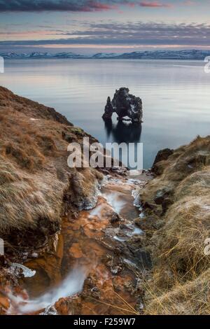 L'Islanda, la penisola di Vatnsnes, OSAR, Hvitserkur rock di sunrise Foto Stock