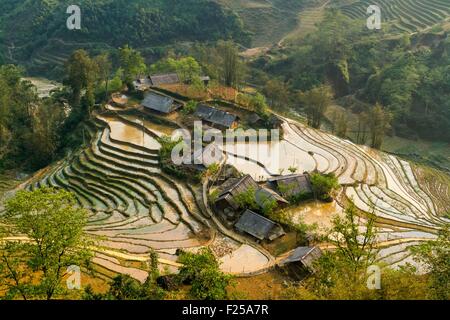 Il Vietnam, Lao Cai provincia, Sa Pa District, piantagioni di riso in terrazza Foto Stock