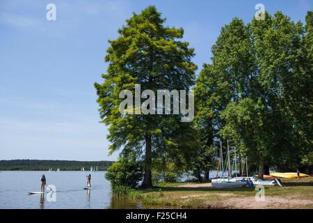 Francia, Landes, Soustons, il lago Foto Stock