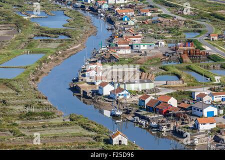 Francia, Charente Maritime, Le Chateau d'Oleron, oyster capanne su Ors chanel (vista aerea) Foto Stock