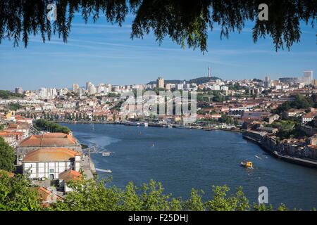 Il Portogallo, regione nord, Porto, Crystal Palace giardino, luogo idilliaco per passeggiate o riposo, vista su Vila Nova de Gaia e il fiume Douro Foto Stock