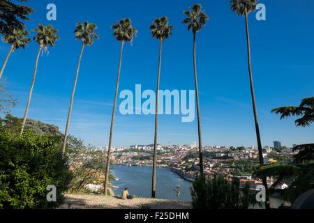 Il Portogallo, regione nord, Porto, Crystal Palace giardino, luogo idilliaco per passeggiate o riposo, vista su Vila Nova de Gaia e il fiume Douro Foto Stock