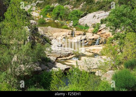 Francia, Aude, tra i villaggi di Camplong d'Aude e Montlaur, Metalline il torrente scorre lungo le Gorges du Congoust che ricevono acqua da rocce calcaree di Alarico mountain Foto Stock