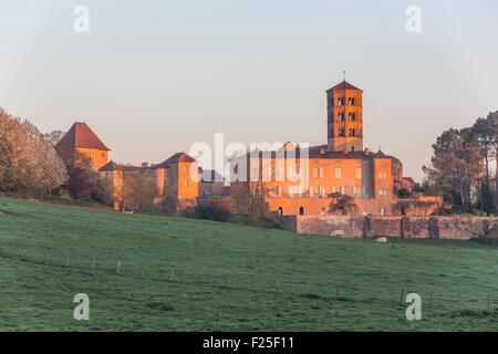 Francia, Saône et Loire, Anzy le Duc, chiesa di Notre Dame de l'Assomption, Brionnais Foto Stock