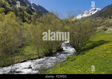Andorra, Ordino, Llorts, Valira del Nord Foto Stock