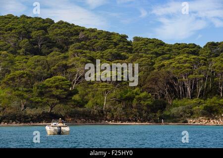 Francia, Var, Iles d'Hyeres, il Parc National de Port Cros (Parco Nazionale di Port Cros), isola di Porquerolles, la Plage d'Argent (Silver Beach) Foto Stock