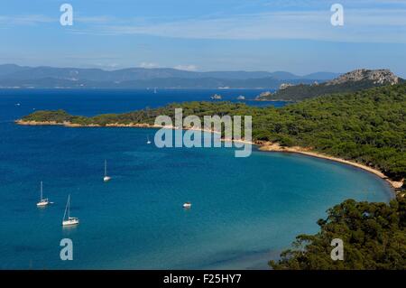 Francia, Var, Iles d'Hyeres, il Parc National de Port Cros (Parco Nazionale di Port Cros), isola di Porquerolles, plage de la Courtade (Courtade spiaggia) Foto Stock