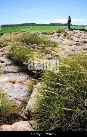 Australia, Territorio del Nord, il Parco Nazionale Kakadu elencato come patrimonio mondiale dall UNESCO, Ubirr Rock (sig. Dawa OK) Foto Stock