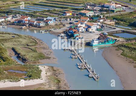 Francia, Charente Maritime, Le Chateau d'Oleron, oyster capanne su Ors chanel (vista aerea) Foto Stock