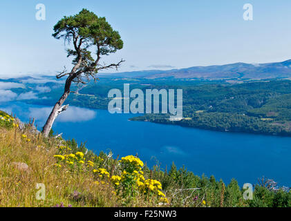 LOCH NESS con cancellazione di nuvole di nebbia in una giornata d'estate Foto Stock