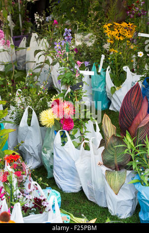 Acquistate i fiori in sacchetti di plastica in attesa di essere raccolti ad RHS Wisley flower show. Surrey, Inghilterra Foto Stock