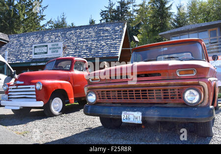 Forche, STATI UNITI D'AMERICA. Decimo Sep, 2015. Due pickups, simile camion guidato dal personaggio principale di Bella nel "Twilight" serie movie, sono in mostra a forche, STATI UNITI D'AMERICA, 10 settembre 2015. Dieci anni fa la città di forche in noi Sate di Washington è salito a fama in tutto il mondo dopo il rilascio del crepuscolo libri e serie di film. Foto: Chris Melzer/dpa/Alamy Live News Foto Stock