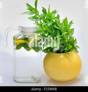 Caraffa con limonata e vaso con la menta Foto Stock