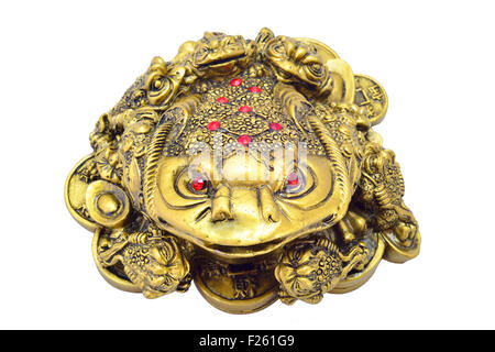 Golden denaro toad seduti sulle monete (Feng Shui) Foto Stock