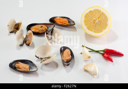 Le cozze e le vongole su sfondo bianco Foto Stock