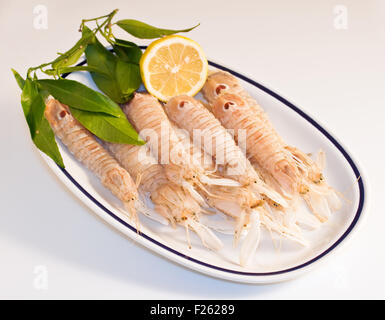 Squilla mantis, crostaceo su un piatto di portata Foto Stock