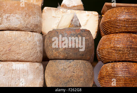 Foto di deliziosi formaggi italiani Foto Stock