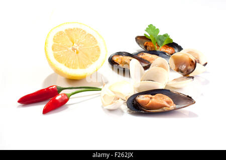 Le cozze e le vongole su sfondo bianco Foto Stock