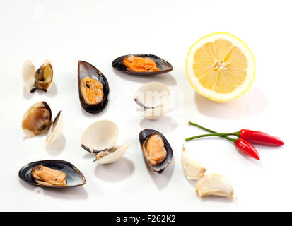 Le cozze e le vongole su sfondo bianco Foto Stock