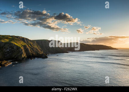 Scogliere sul mare a St. Abbs Head in Scottish Borders, Scozia Foto Stock