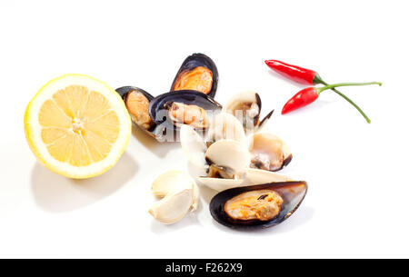 Le cozze e le vongole su sfondo bianco Foto Stock