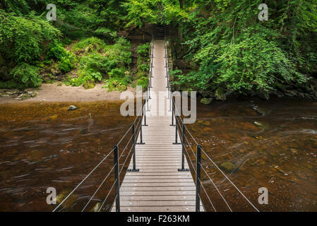 Sospensione ponte sopra il fiume Allen presso Allen banche, Northumberland, Inghilterra Foto Stock