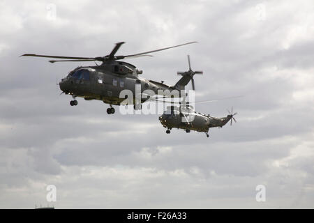 Un Agusta Westland Merlin H C MK 3 da 846 NAS a volare con un Westland Sea King H C MK 4 che verrà ritirato dal marzo 2016 dopo Foto Stock