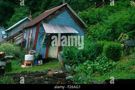 Residenze colorati nel villaggio di molle Tenakee Chichagof Island; Southeast Alaska; Tongass National Forest; Alexander Arc Foto Stock