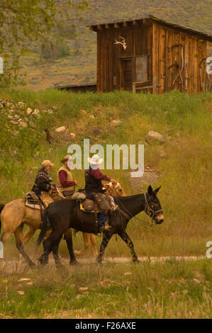 Corsa a cavallo Rendezvous piloti con cabina, Okanogan County, Washington Foto Stock