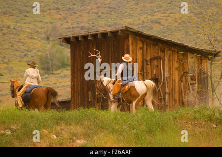 Corsa a cavallo Rendezvous piloti con cabina, Okanogan County, Washington Foto Stock