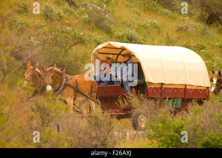 Corsa a Rendezvous carro, Okanogan County, Washington Foto Stock