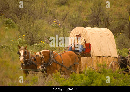 Corsa a Rendezvous carro, Okanogan County, Washington Foto Stock