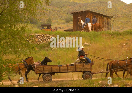 Corsa a Rendezvous carro, Okanogan County, Washington Foto Stock