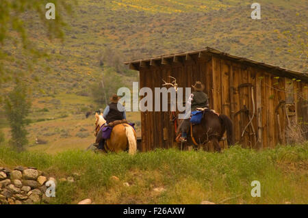 Corsa a cavallo Rendezvous riders, Okanogan County, Washington Foto Stock